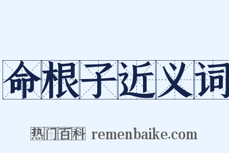 命根子近义词是什么意思的图片